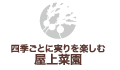 四季ごとに実りを楽しむ屋上菜園